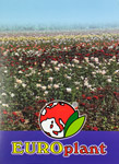 Europlant